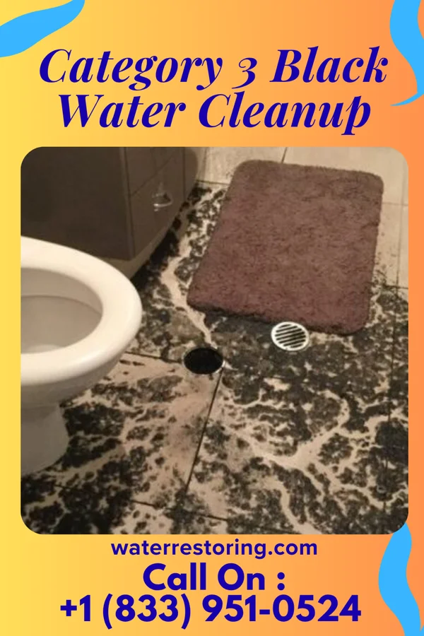 Category 3 Black Water Cleanup in Turtle Creek, PA