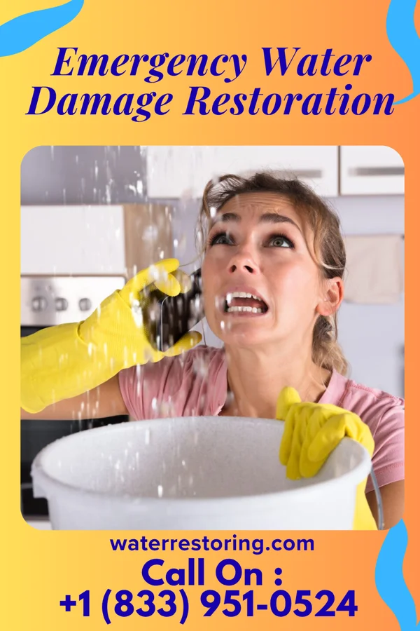 Emergency Water Damage Restoration in Turtle Creek, PA