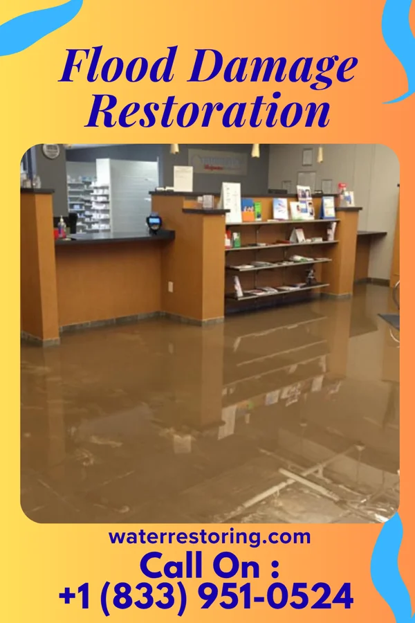 Flood Damage Restoration in Turtle Creek, PA