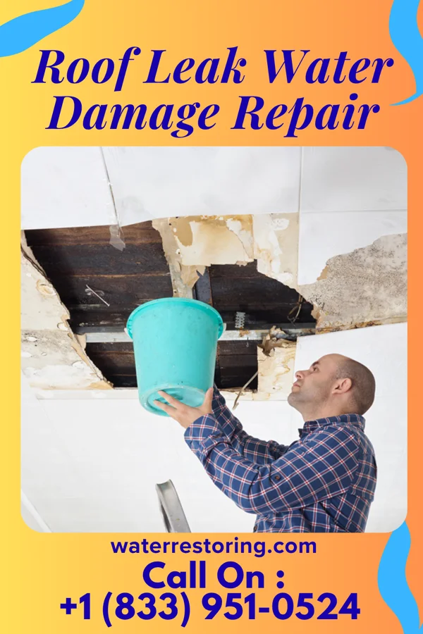 Roof Leak Water Damage Repair in Turtle Creek, PA