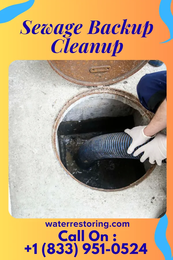 Sewage Backup Cleanup in Turtle Creek, PA